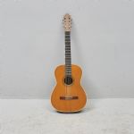 1496 5118 Gitarr